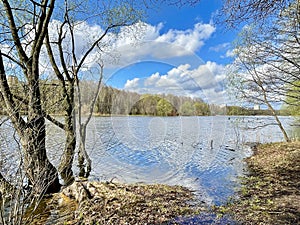 Trees on the banks of the Pekhorka River in April in clear weather. Russia, Moscow region, Balashikha city.