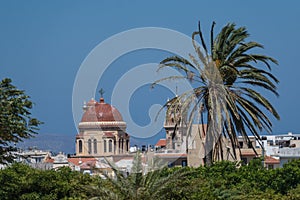 Trees before the Basilique Notre-Dame-de-la-Victoire under the blue skyline