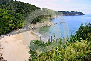 Árboles sobre el Playa de en,,.. Europa. Octubre 05 2019 