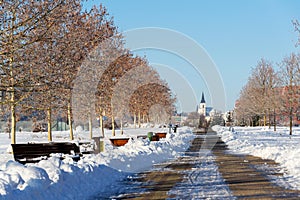 Trees in beautiful romantic winter alley covered with snow with sidewalk in the middle, church in background