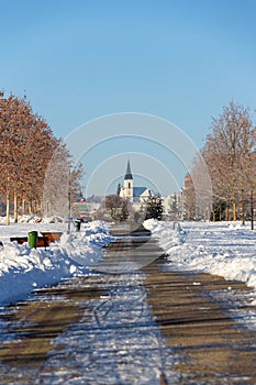 Trees in beautiful romantic winter alley covered with snow with sidewalk in the middle, church in background