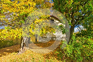 Trees behind the Chapel at calvary in Tajov