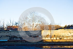 The trees behind the short wall