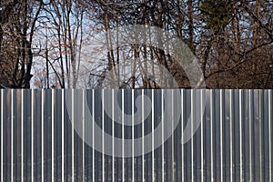 trees behind a silver metal dirty gray fence on the street in the city