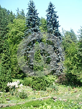 Sitting area in the park during summer