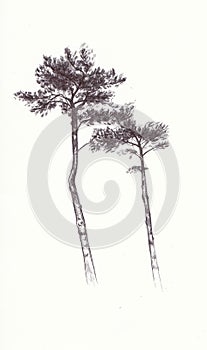 Trees in Biro