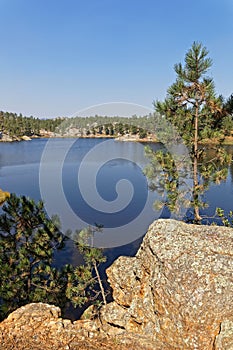 Trees on Bismark Lake shoreline