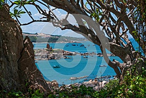 Trees and blue sea Vietnam