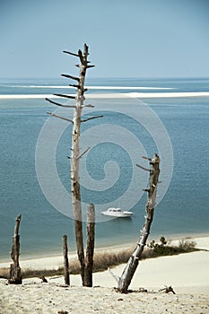 Trees and boat at the bottom of the Pilat dune