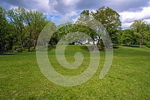 Trees in a Botanical Garden