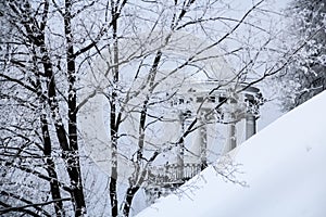 Trees with branches covered by frost and gazebo