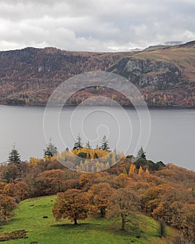 Trees of Brandlehow Park on the edge of Derwent Water, Lake District