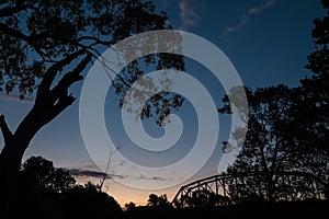 Trees and a bridge silhouetted against the sunset.