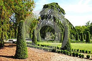 Trees in Buen Retiro public park, Madrid, Spain