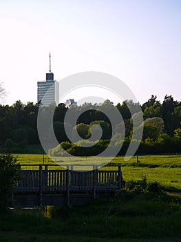 Trees and buildings against clear sky during evening