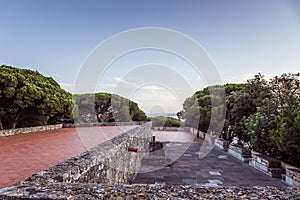 trees and bushed on the side of an old stone wall ruins and red tiled floor