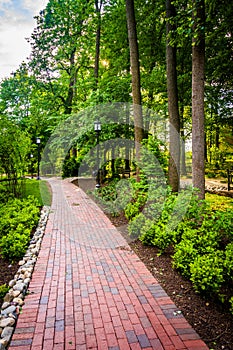 Trees and bushes along a brick path at John Hopkins University i