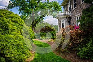 Trees and bushes behind the Cylburn Mansion at Cylburn Arboretum