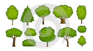 Trees and bushes set of icons. Forest, nature, environment concept. Cartoon vector illustration photo