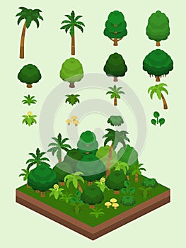 Isometrico semplice impianti impostato foresta pluviale bioma 