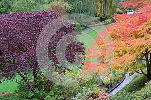 Trees in Butchart Gardens