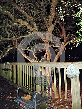 Trees carvings westbay weeping willows