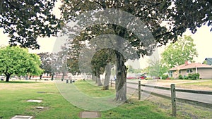 Trees in a cemetery in Portland Oregon. 4K