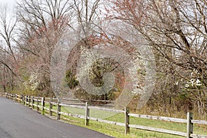 The trees are changing colors along this country lane.