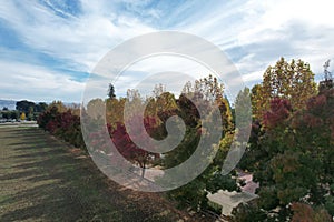 Trees changing colour in fall in Gilroy California
