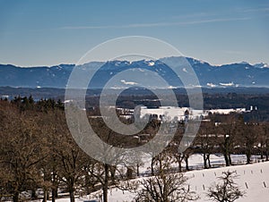 Trees and church in front of an alpine backdrop