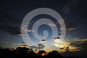 Trees and clouds at sunset in Brazil