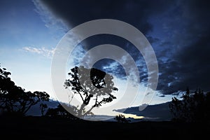 Trees and clouds at sunset in Brazil