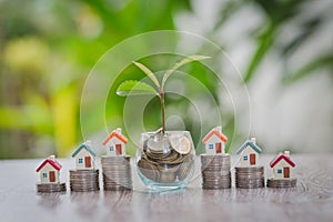 Trees and coins in glass bottles A house on a coin ladder The concept of saving money to buy a house Real estate growth, home