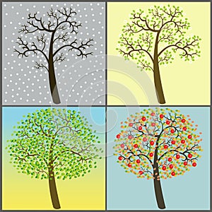 Trees collection - four seasons