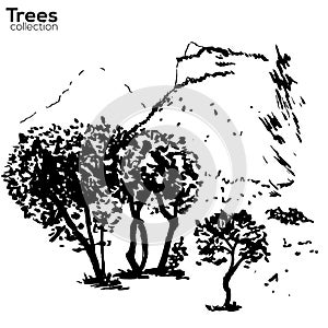 Trees collection. Ink Herault, France landscape