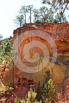 Trees upon colorful ochre rocks, Roussillon, France