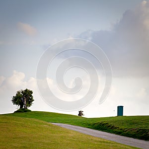 Trees in the countryside