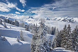 Trees covered by fresh snow in Alpine mountains - Austria from K