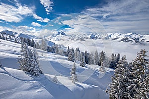 Trees covered by fresh snow in Alpine mountains - Austria from K