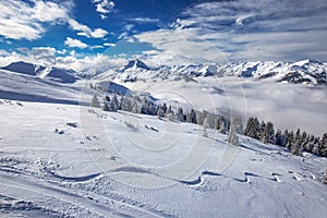 Árboles cubierto de acuerdo a fresco la nieve en Alpes estación de esquí 