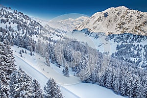 Trees covered by fresh snow in Austria Alps - Zillertal arena, A