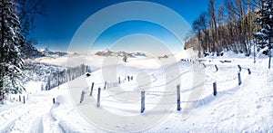 Trees covered by fresh snow in Swiss Alps. Stunning winter landscape.