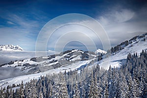 Trees covered by fresh snow in Tyrolian Alps, Kitzbuehel, Austria