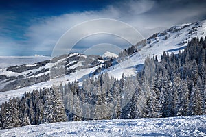 Trees covered by fresh snow in Tyrolian Alps, Kitzbuehel, Austria photo