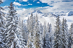 Trees covered by fresh snow in Tyrolian Alps from Kitzbuhel ski resort, Austria