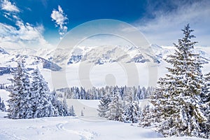 Trees covered by fresh snow in Tyrolian Alps from Kitzbuhel ski resort, Austria