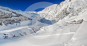 Trees covered by fresh snow in Tyrolian Alps - Zillertal arena, A