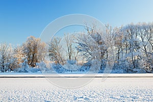 Trees covered by hoarfrost