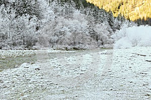 Trees covered with hoarfrost rime ice along the stream