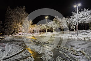 Trees covered with snow, dark sky and shining lantern. Night shot. Snowfall at night